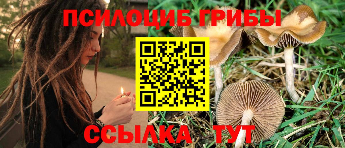 Маркс  ГАШ  Alpha-PVP СОЛЬ кристаллы  Кокаин  ГАШИШ  НБОМе  Вход с VPN  МЕФ кристаллы  Бошки Шишки  Каннабис 
