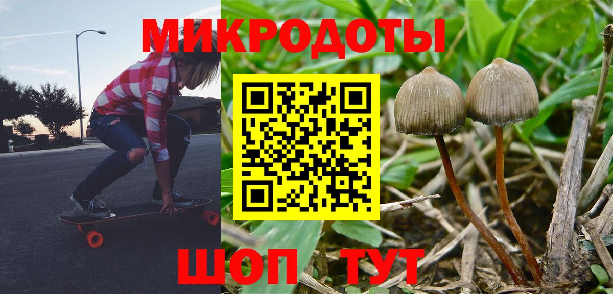 Псилоцибиновые грибы GOLDEN TEACHER  Вход с VPN  Галлюциногенные грибы Magic Shrooms  купить наркоту  Маркс 