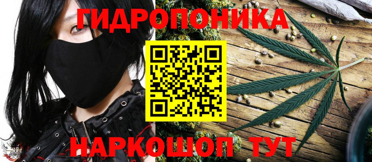 Конопля AK-47 Маркс