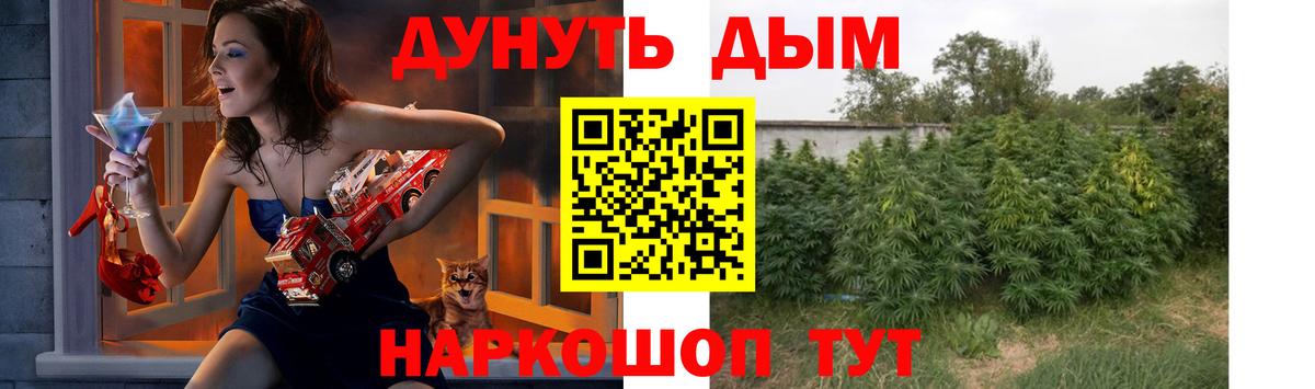 Маркс  Шишки марихуана Amnesia  Конопля Bruce Banner  Марихуана Amnesia  Вход с VPN  Каннабис AK-47 